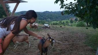 Beautiful House Surrounded By Pure Nature