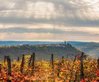 Contemporary House Padna