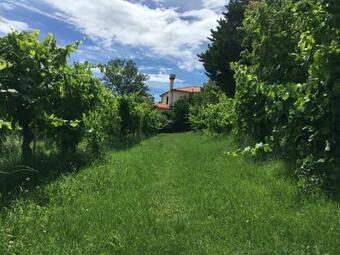 Hostal Traditional Istrian Stone House