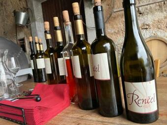 Cilka`s House, Authentic Homestay Near Lipica