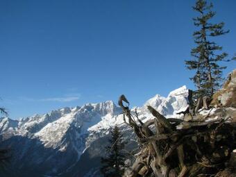 Apartments And Rooms Kravanja