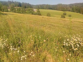 Apartment Jorsi With Mountain View