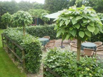 Bed & Breakfast Kozakkenhoeve