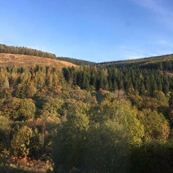 Apartamento The Peak By Afan Valley Escapes