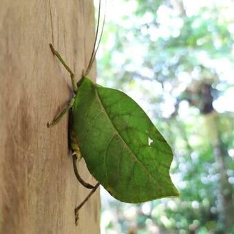 Posada Aguas Calientes