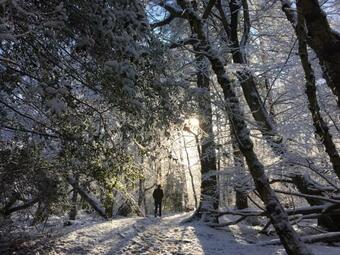 Apartamentos Oak House Farm