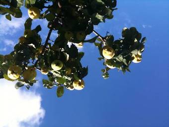 Apartamento Appartement Im Gr�nweinhof