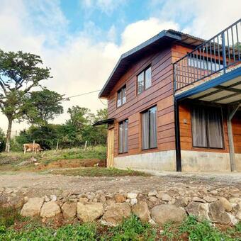 C�firo Del Bosque, Al Pie Volc�nplatanar