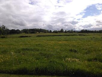 Apartamento Acorn Annex