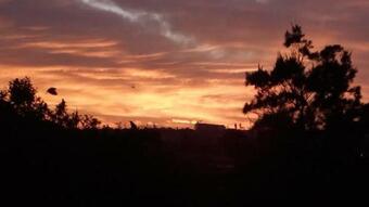 Apartamento Twin Palms Accommodation