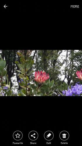 Hostal Mac Nicol's Farm House B&B