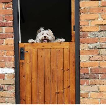 Bed & Breakfast Beachborough Park