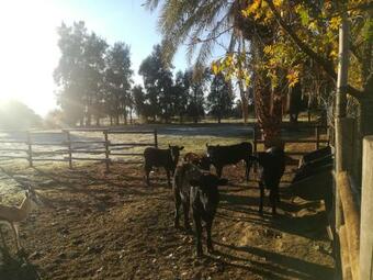 Apartamento Two Palms Guesthouse