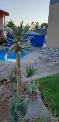 Hostal Aloe View Guesthouse