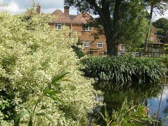 Posada The Pelican Inn