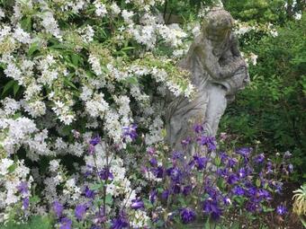 Bed & Breakfast Seymours Court