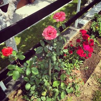 Hostal House Leonarda