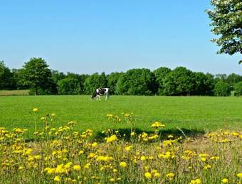 Hotel Woodbrooke Barchem