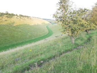 Apartamento Seaways Glamping, Copper Beech