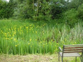 Grove Barn Bed And Breakfast