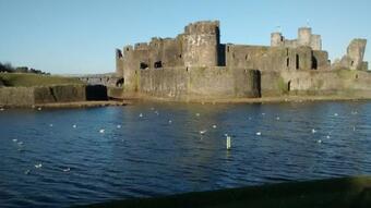 Pleasant Spacious Room