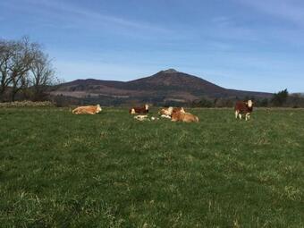 Bed & Breakfast Broadsea