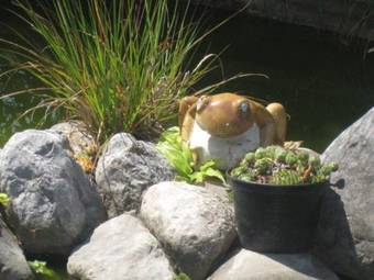 Hotel Casona Malvas�a