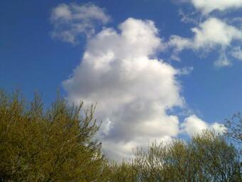 Bed & Breakfast Riverside Cottage