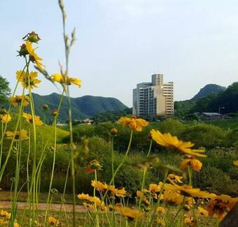Apartamento A Lovely Apt, 5 Minutes From Cheongnyeongpo Cape.
