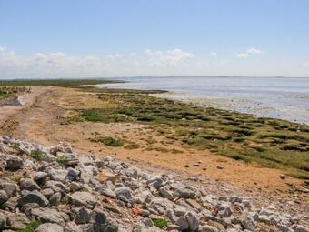 Apartamentos Shorefields Two