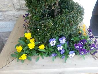 Hostal Burythorpe House