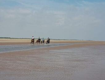 Bed & Breakfast Wickham House