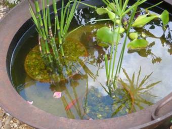 Bed & Breakfast Chambres D'h�tes Le Bas Rassinoux