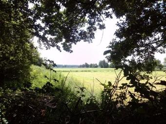 Agroturismo Holiday Home Haulervaart Waskemeer