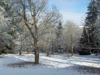 Bed & Breakfast Chambres D'h�tes Le Chalet