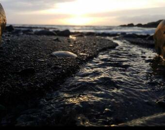 Apartamento Ardbeg 4 - Farm Stay With Sea Views Across To Northern Ireland