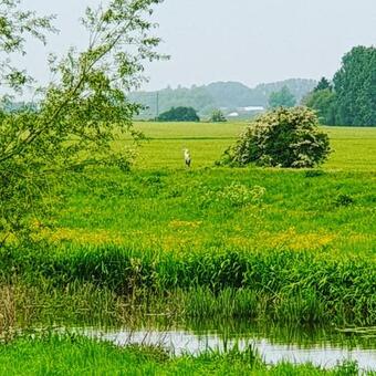 Apartamento Lodge 53 R And R Holidays Ltd