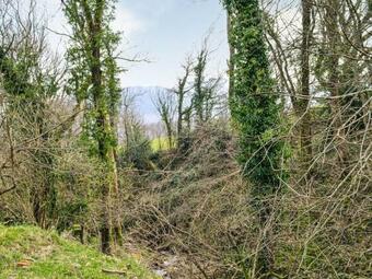 Ty Olwyn Bach - Uk36418