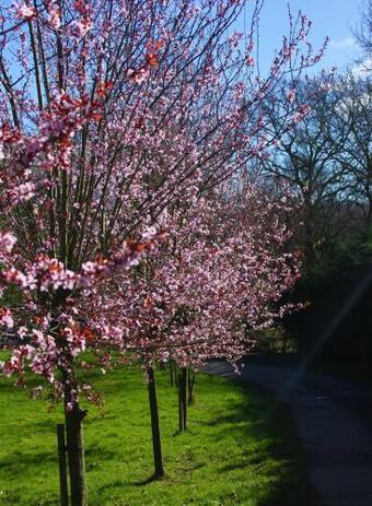 Hopgarden Glamping Luxury Shepherds Huts