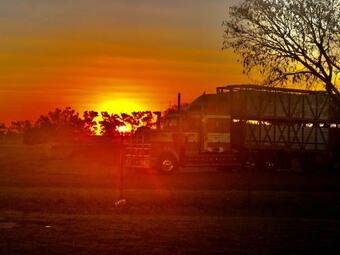 Karumba Point Tourist Caravan Park