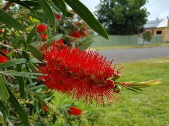 Moort Boodja - By The Creek @ Kilmore
