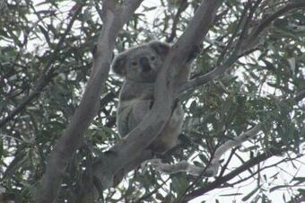 Lodge Neureum Park Luxury Eco Villas