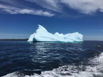 Motel Raleigh Rooms & Taylor's Crafts