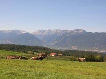 Agroturismo Agritur Maso San Bartolomeo