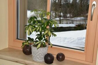 Ferienhaus Saxenauer