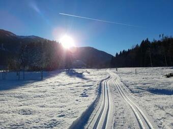 Apartamento Ferienwohnungen Rosi