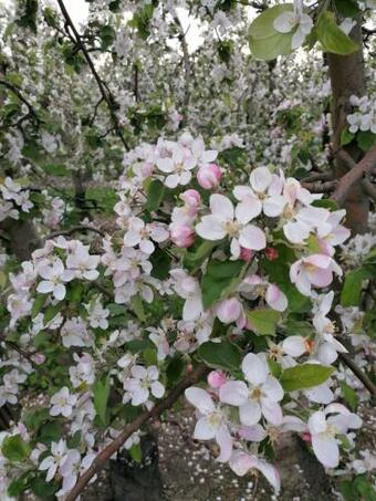 Apartamento Vakantiewoning Upstairzzz