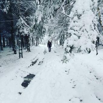 Agroturismo Le Refuge Ardennais