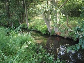 Bed & Breakfast Oetervallei