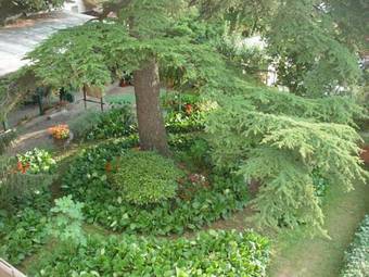 Bed & Breakfast Malpassuti Resort